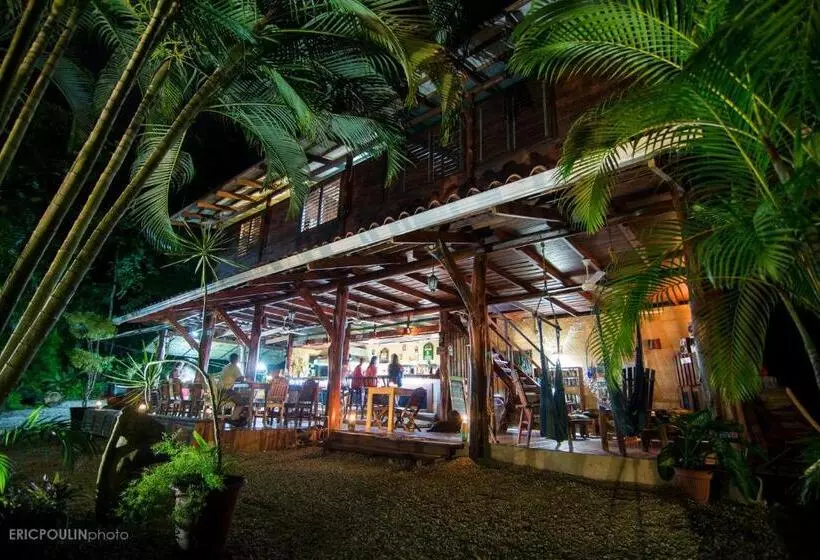 Lomakeskus Funky Monkey Lodge