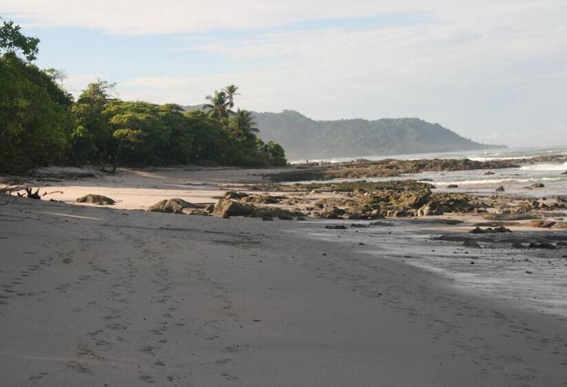 渡假胜地  Funky Monkey Lodge