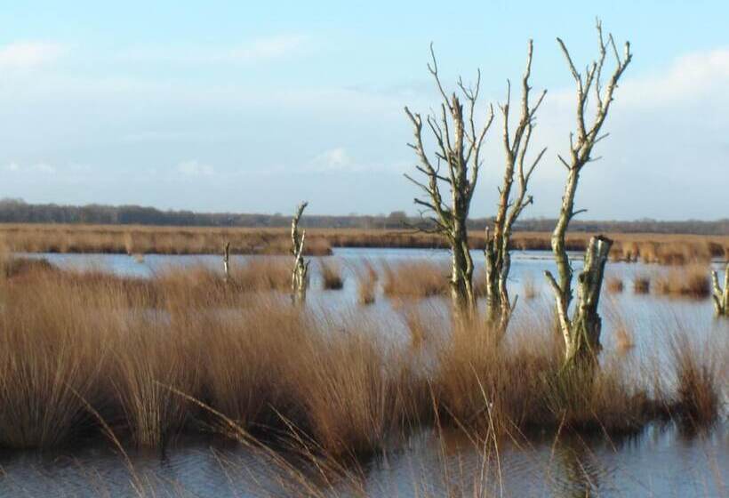 בית מלון כפרי Bitter En Zoet