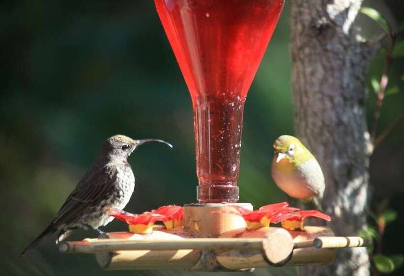 ホテル Cinnamon Boutique Guest House