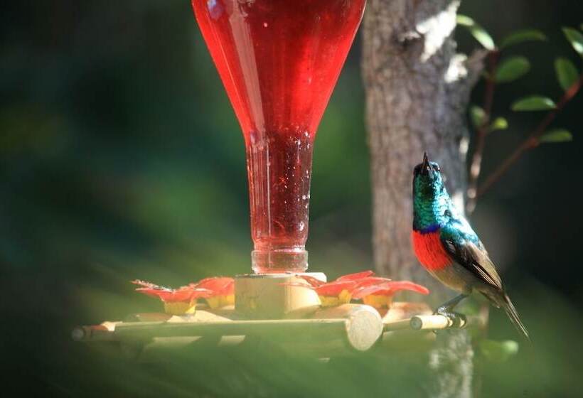 ホテル Cinnamon Boutique Guest House