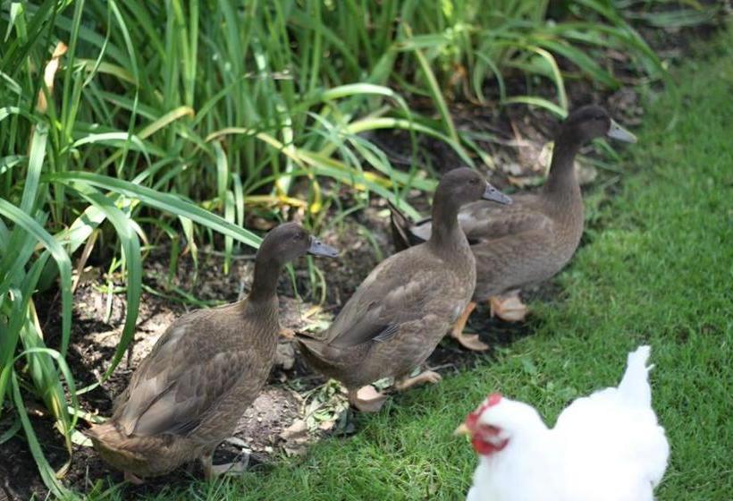 Отель Edgewater Inn & Riverside Grill