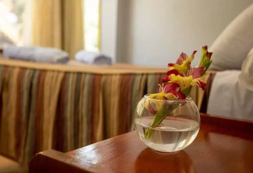 ホテル Hostal La Payacha