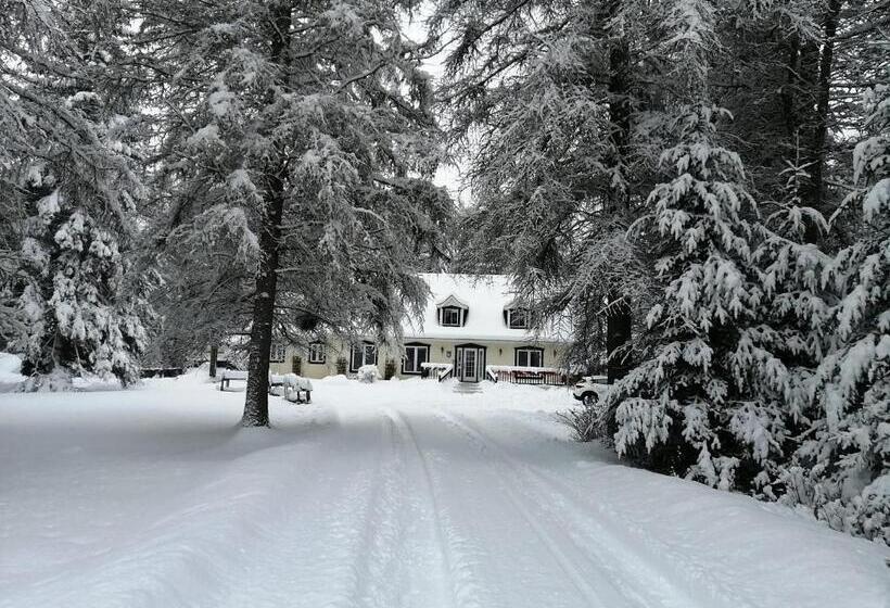 هتل La Tremblante