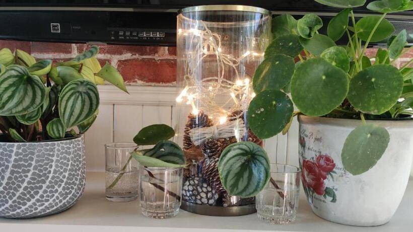 هتل La Tremblante