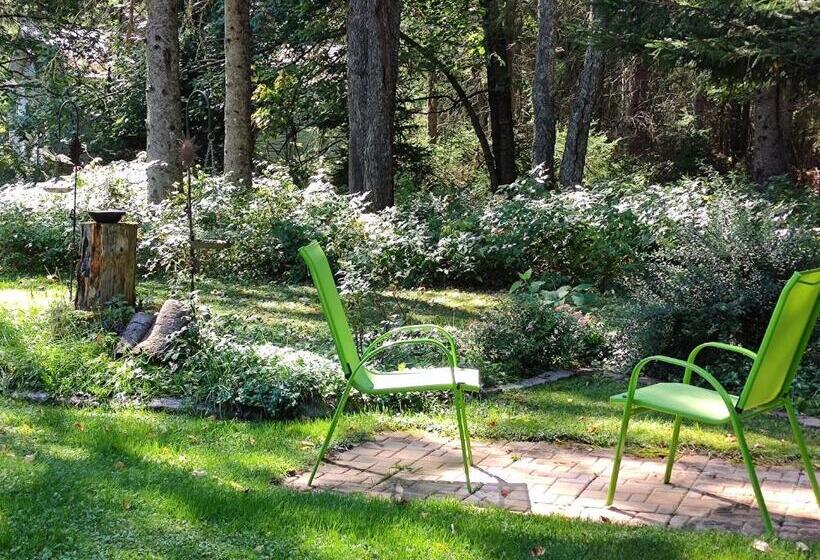 هتل La Tremblante