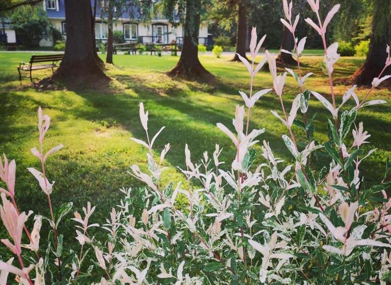 هتل La Tremblante