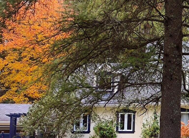 هتل La Tremblante