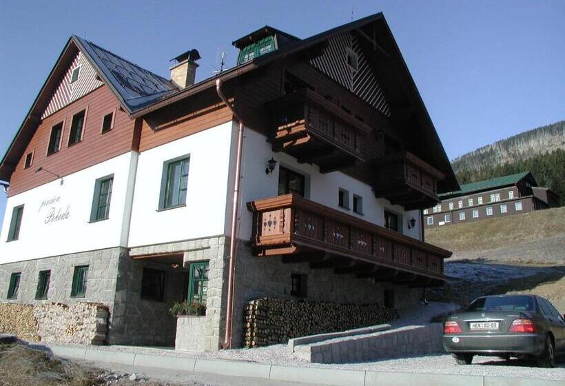ホテル Pension Pohoda