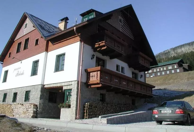 هتل Pension Pohoda