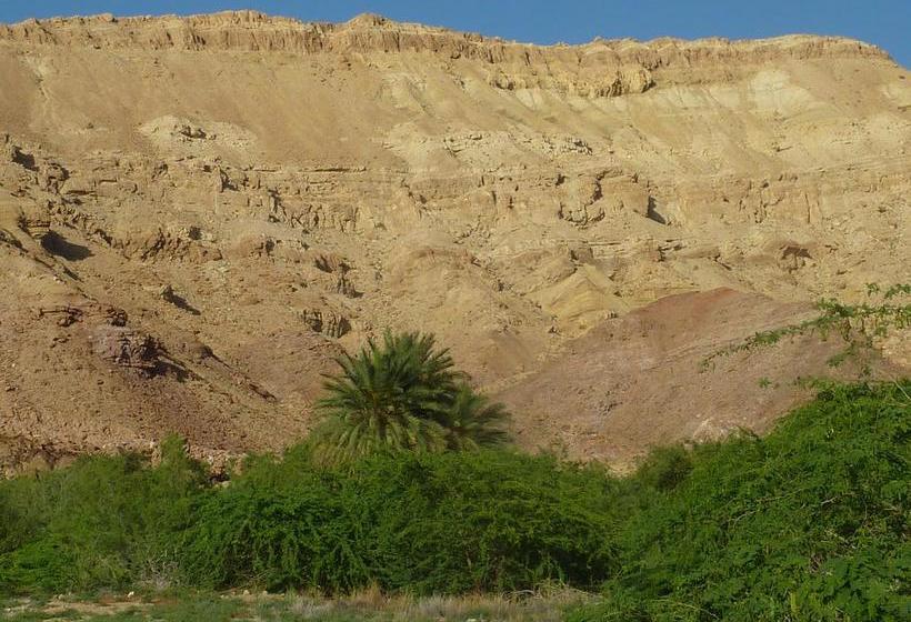 هتل Sehatty Resort