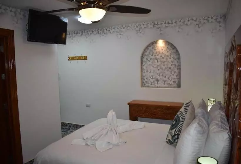 هتل Villa Pajaros