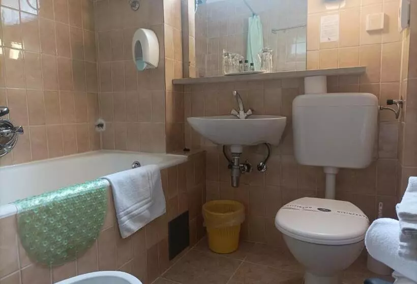 Integral Hotel Arbia   Villa Rio