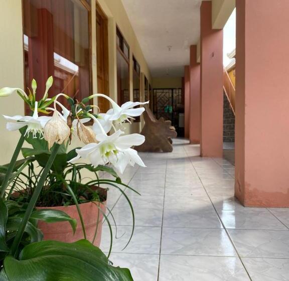 La Puesta Del Sol B&b