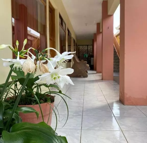 La Puesta Del Sol B&b
