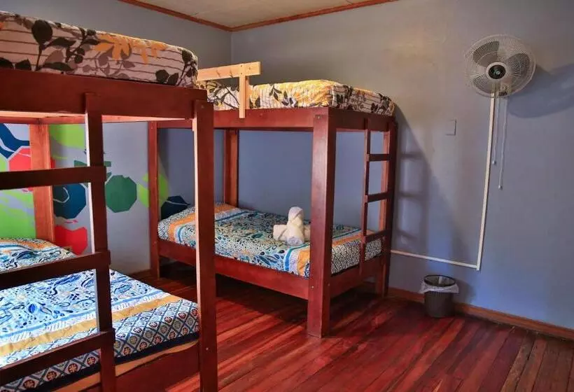 Mangifera Hostel