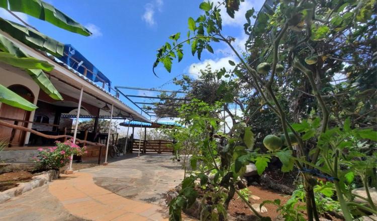 住宿加早餐  Galapagos Casa Playa Mann