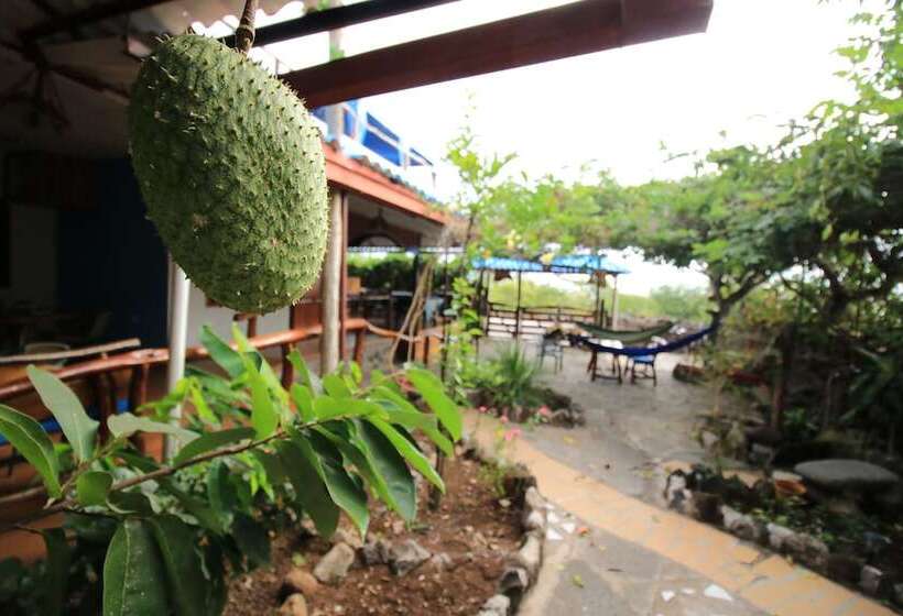 住宿加早餐  Galapagos Casa Playa Mann