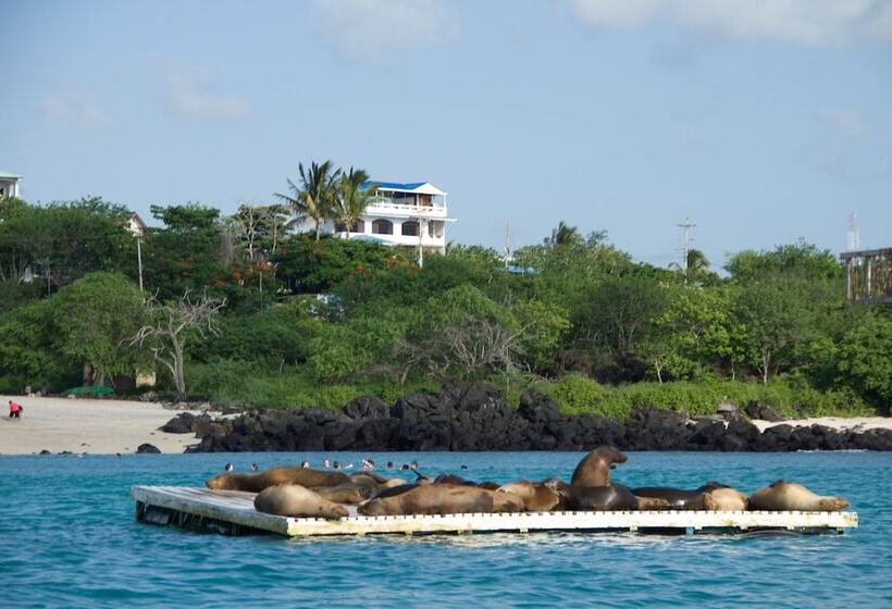 住宿加早餐  Galapagos Casa Playa Mann