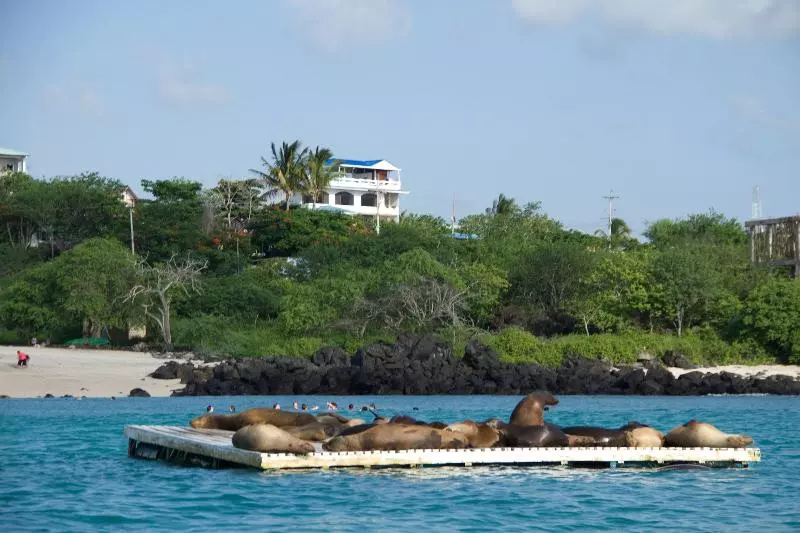 ベッドアンドブレックファースト Galapagos Casa Playa Mann