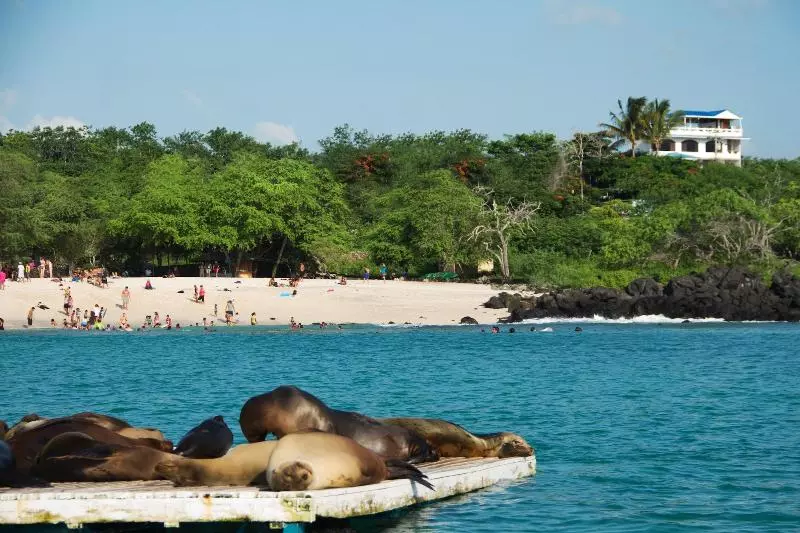 ベッドアンドブレックファースト Galapagos Casa Playa Mann