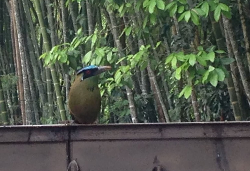 Finca Hotel Santana Campestre Quindio