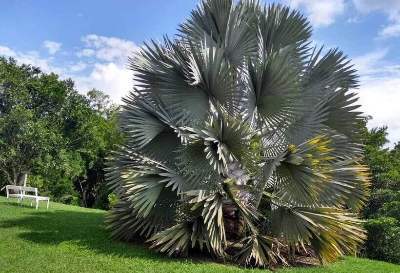 Finca Hotel Santana Campestre Quindio