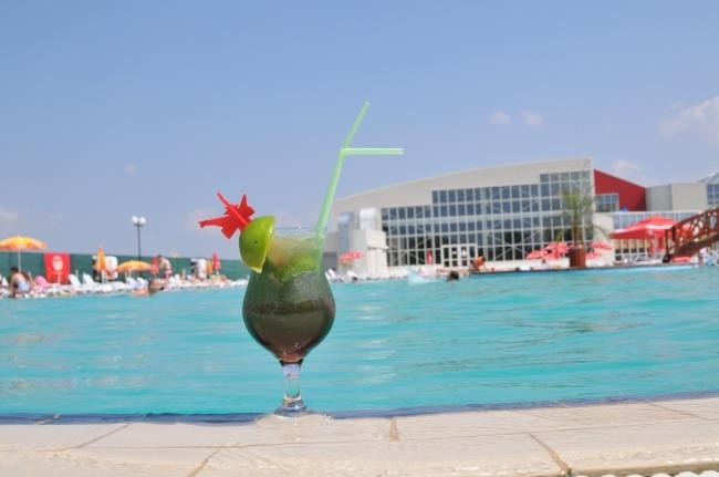 هتل Alinalex Paradisul Acvatic