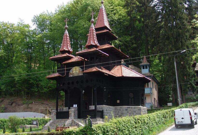 هتل Hefaistos Sovata