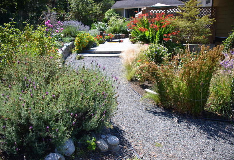 Otel Seasons Above The Bay Guest Suites And B&b