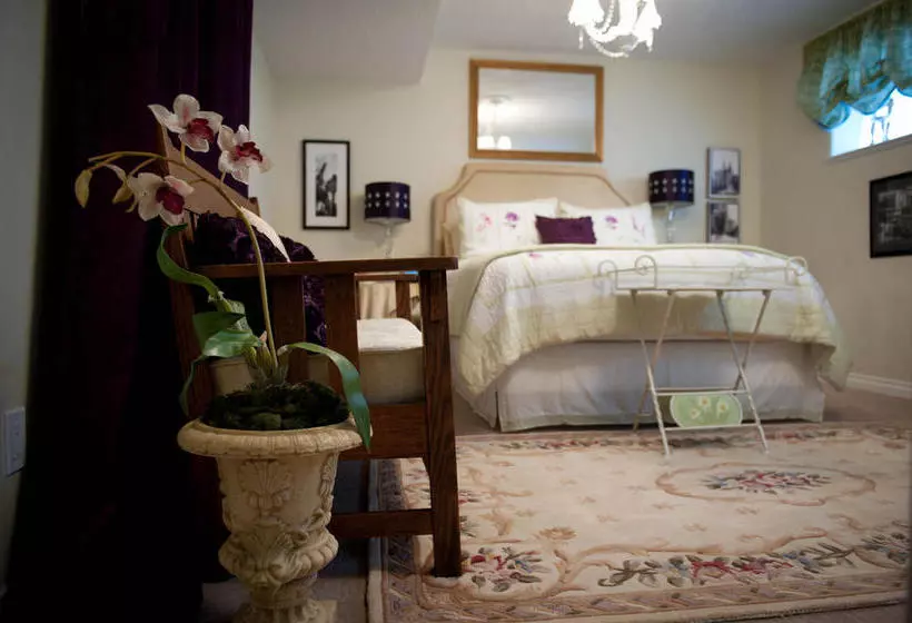 ホテル Seasons Above The Bay Guest Suites And B&b