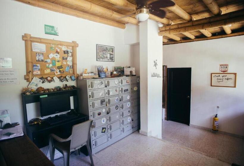 La Tortuga Hostel