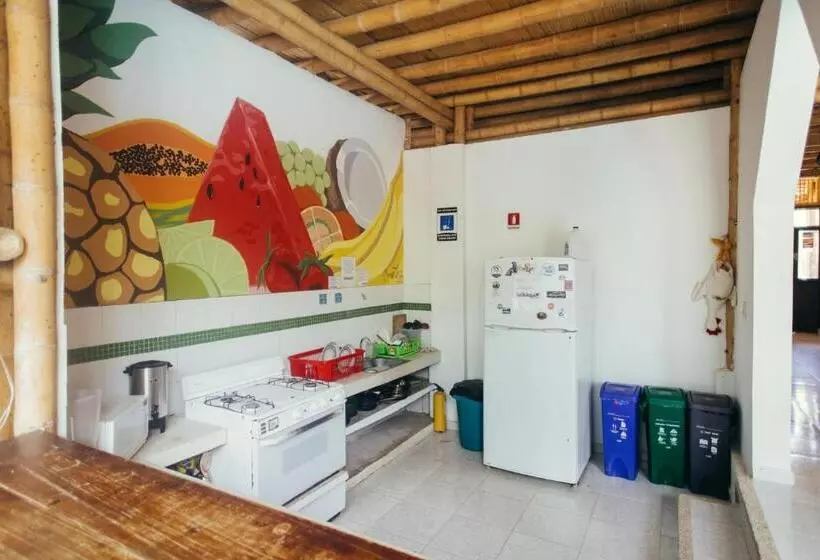 La Tortuga Hostel