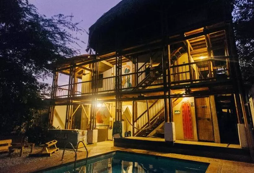 La Tortuga Hostel