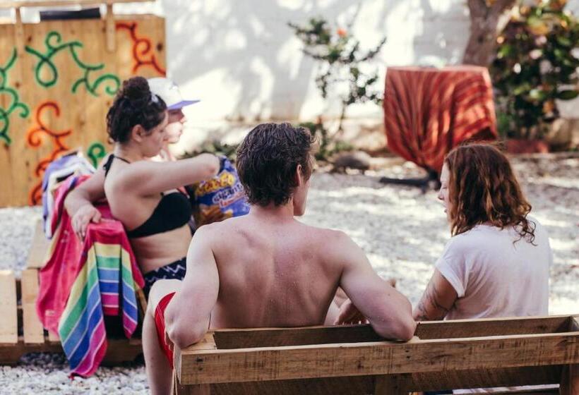 La Tortuga Hostel
