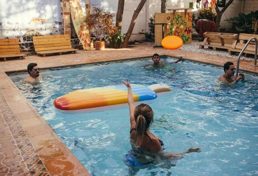 La Tortuga Hostel