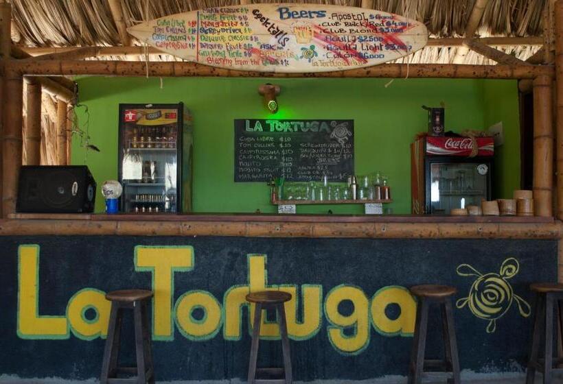 La Tortuga Hostel