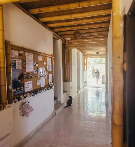 La Tortuga Hostel