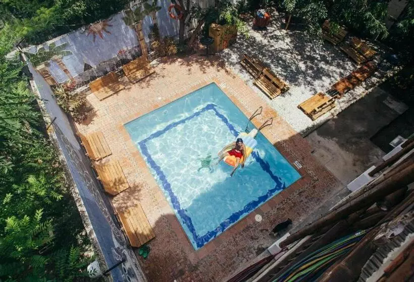 La Tortuga Hostel