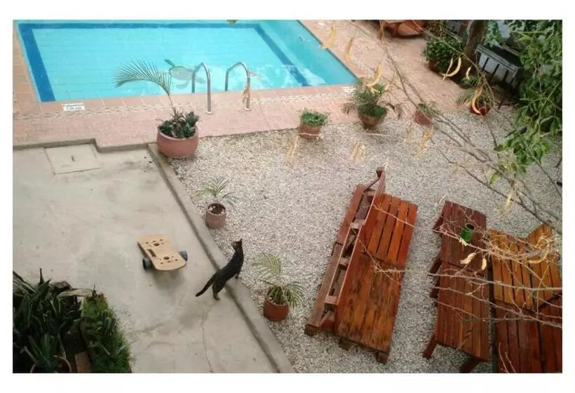 La Tortuga Hostel