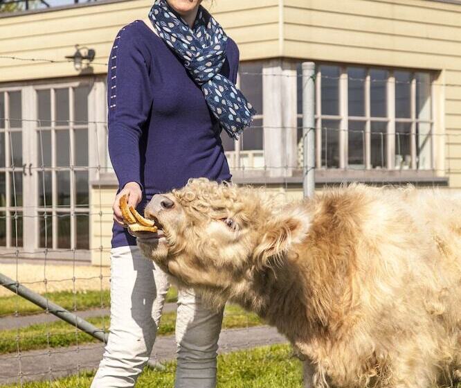 ホテル B&b Back2front