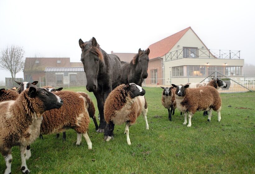 ホテル B&b Back2front