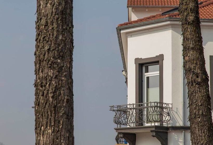 酒店 Best Business Buhl  Boardinghouse