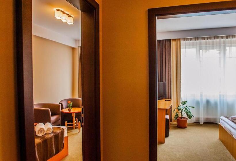 Отель Class Hermannstadt