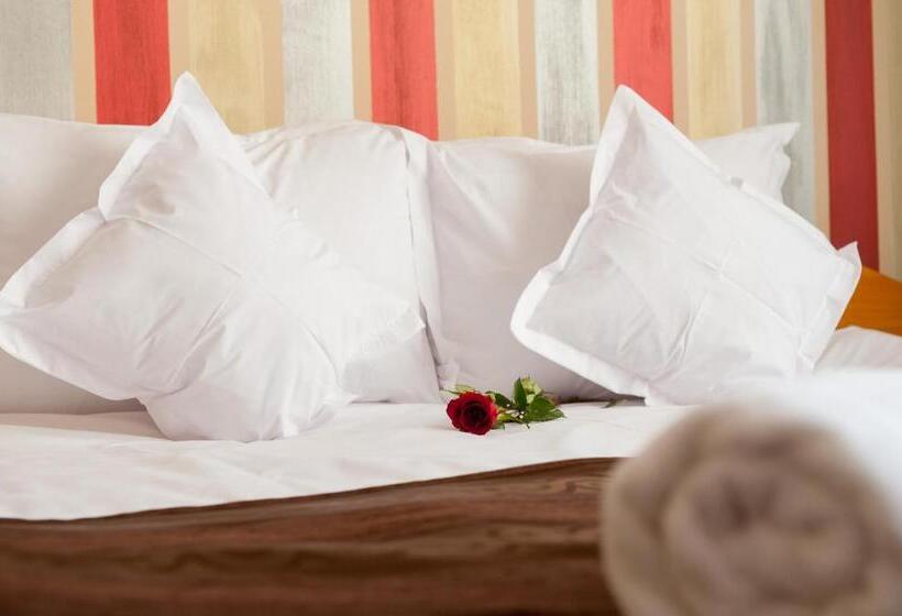 Отель Class Hermannstadt