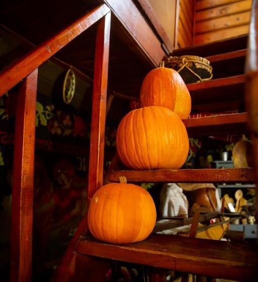 فندق Complex Turistic Moara Dragaicilor