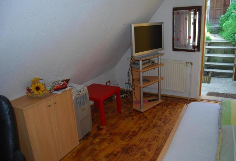 בית מלון כפרי Pension Sighisoara