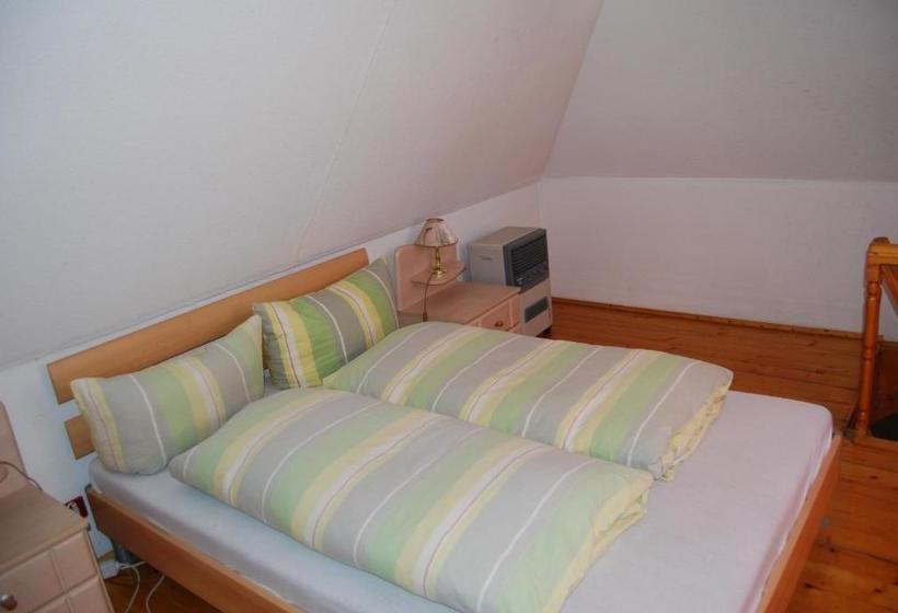 בית מלון כפרי Pension Sighisoara