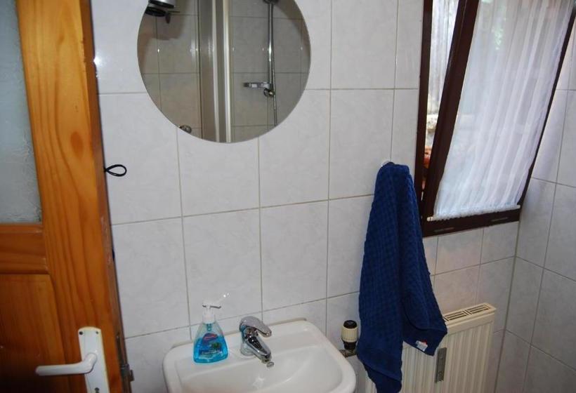 בית מלון כפרי Pension Sighisoara