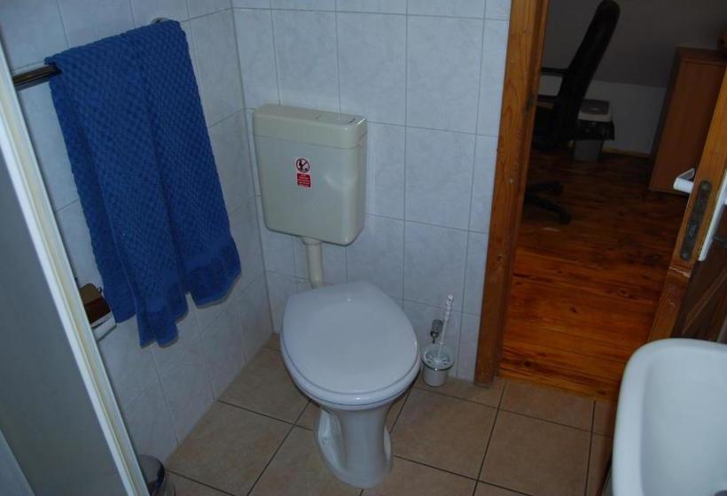 בית מלון כפרי Pension Sighisoara